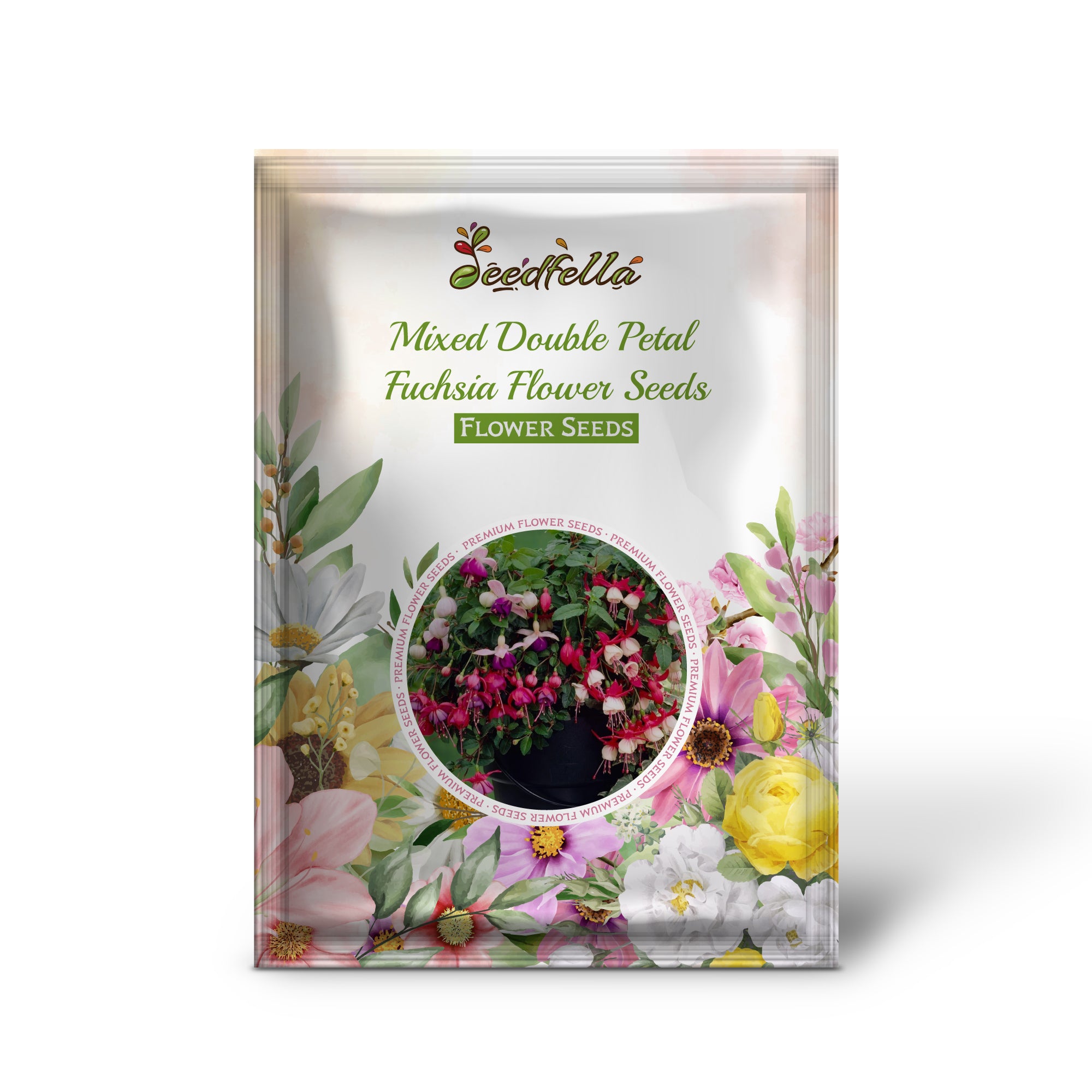 Mixed Double Petal Fuchsia flowers in full bloom