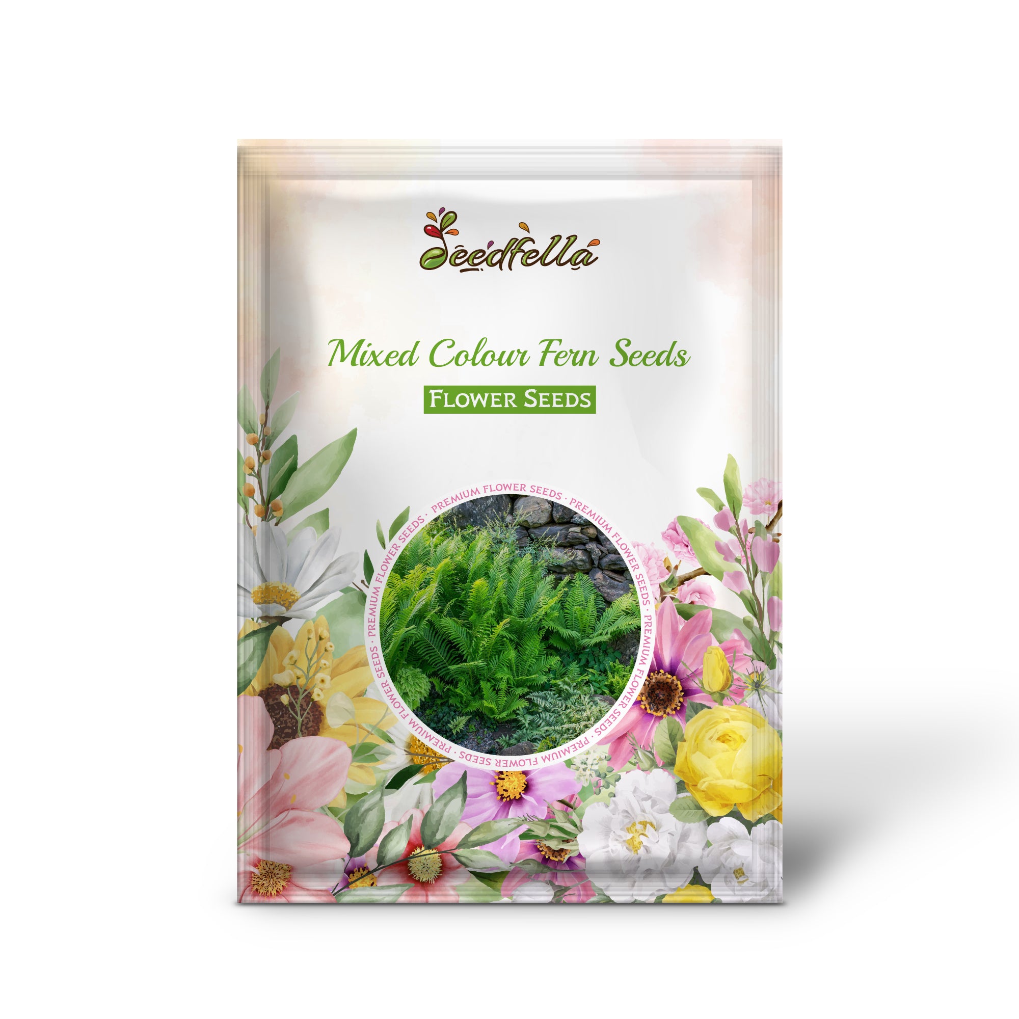 Mixed Colour Ferns in various green and bronze hues