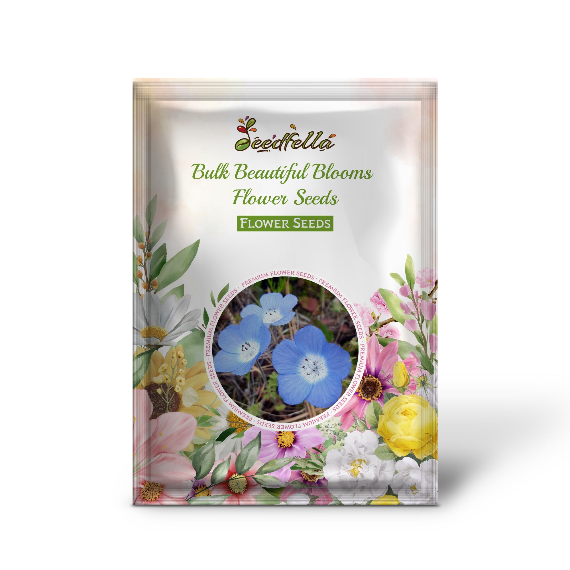 Mixed Colorful Blooms from Bulk Flower Seeds