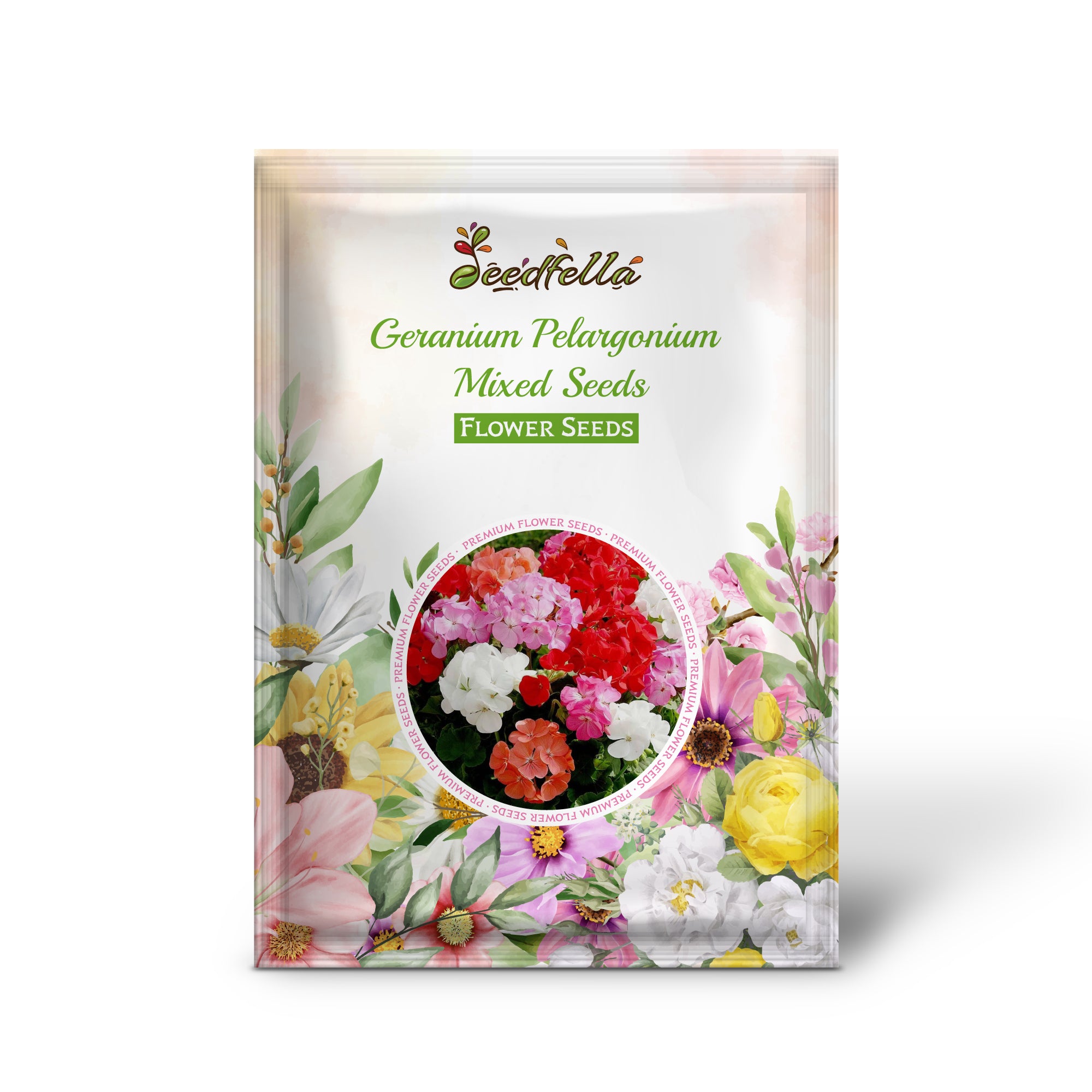 Mixed Geranium flowers in full vibrant bloom