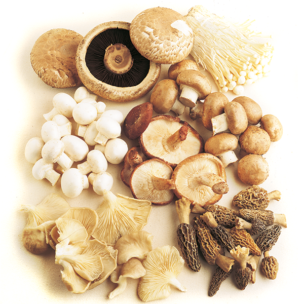 Mixed Mushroom Vegetable Seeds for Easy Planting