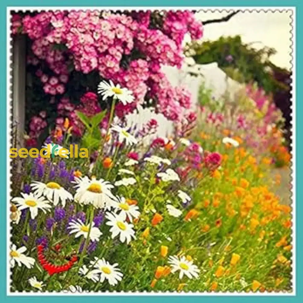 Mixed Ornamental Flower Planting Seeds For Vibrant Gardens