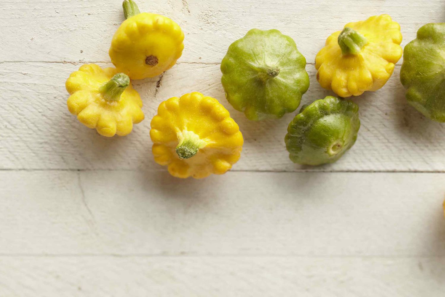 Healthy Mixed Patty Pan plants growing in full sun