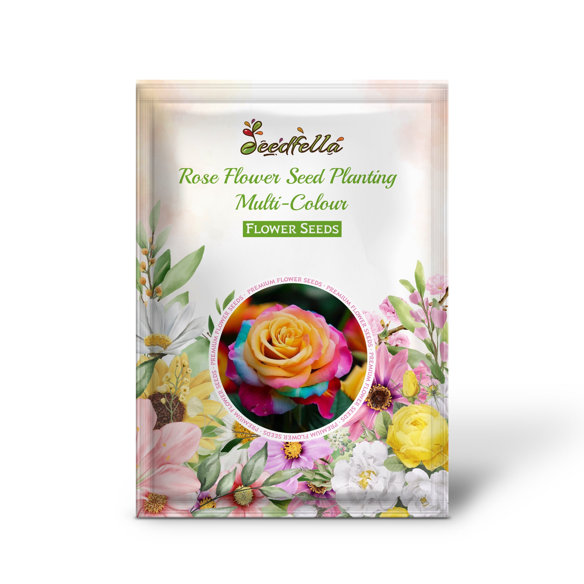 Mixed Rose Blooms in a Vibrant Garden