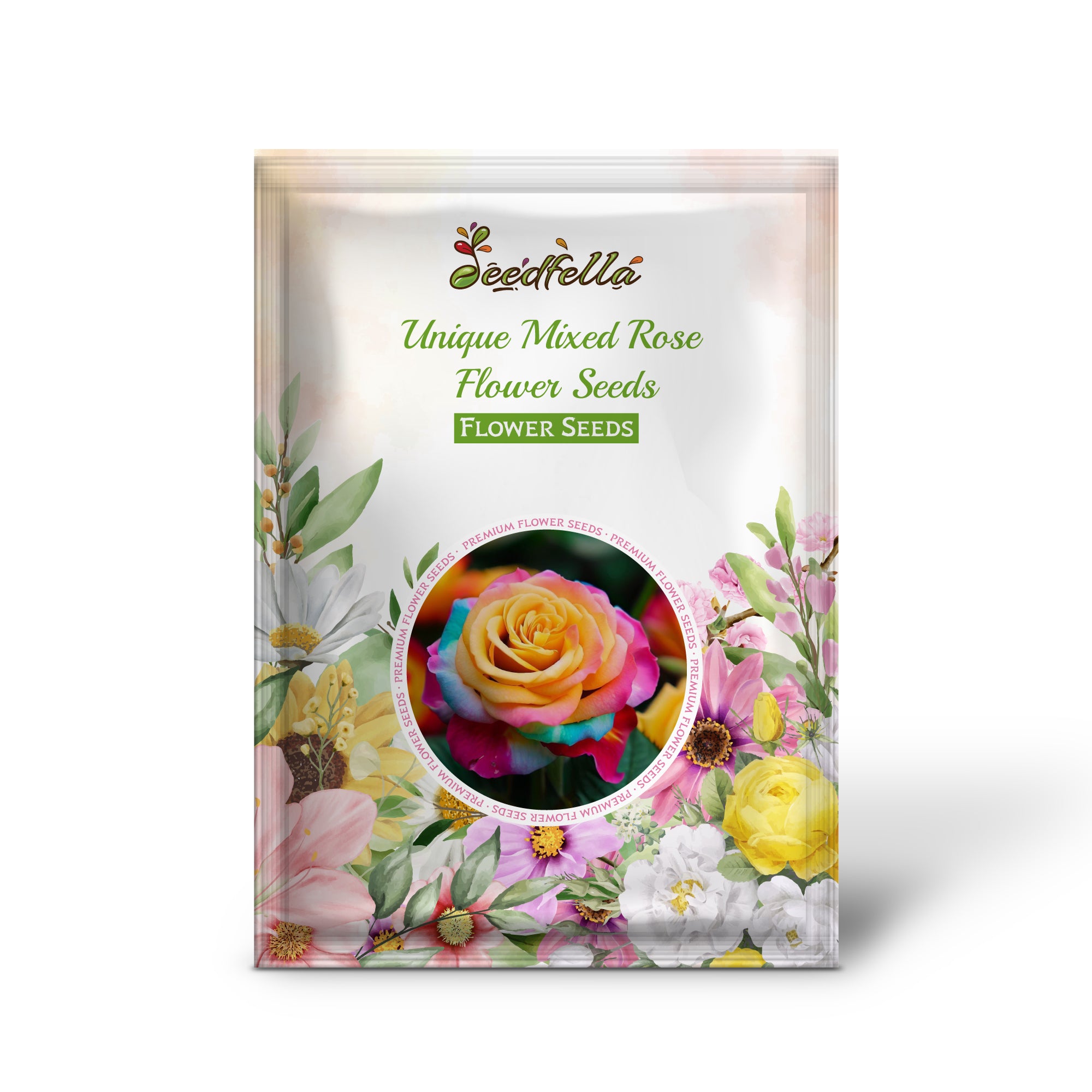 Colorful Mixed Rose Blooms in Garden