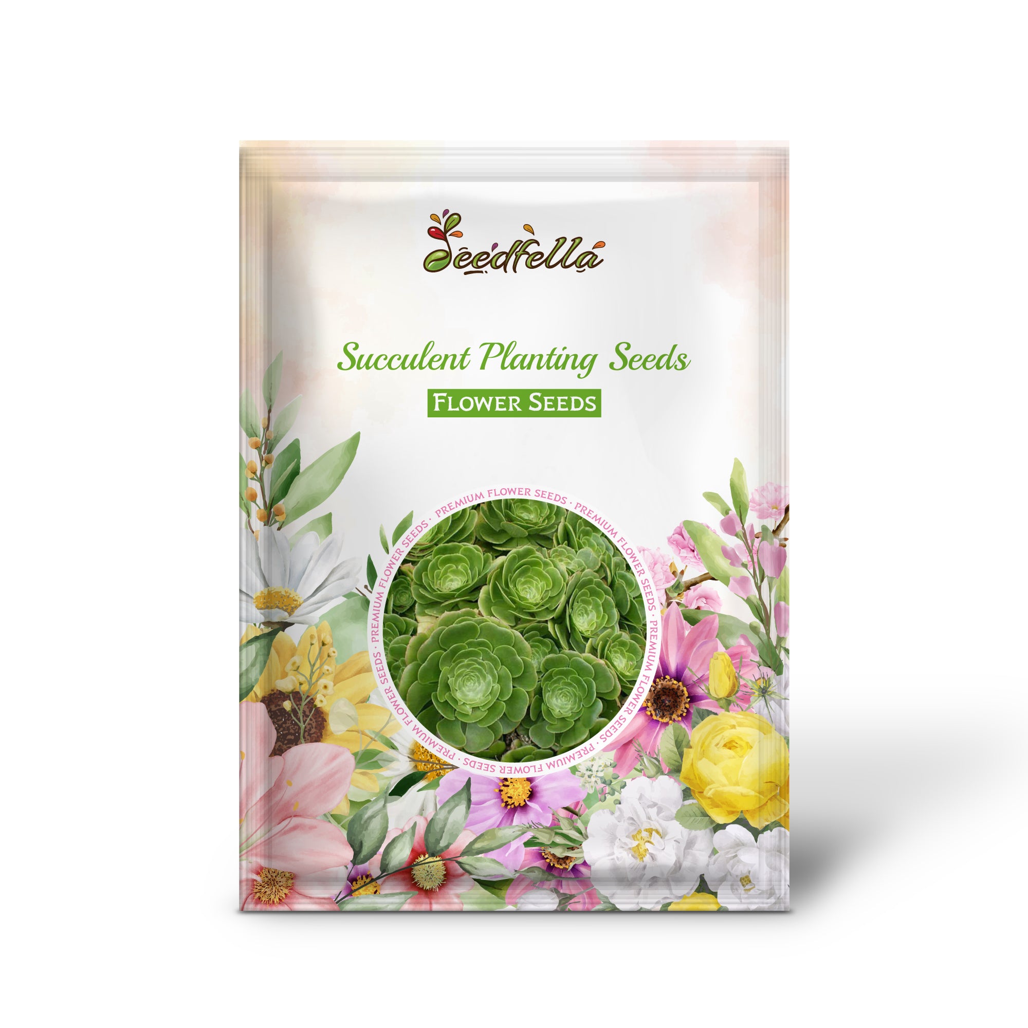 Mixed Succulent Varieties from Seeds