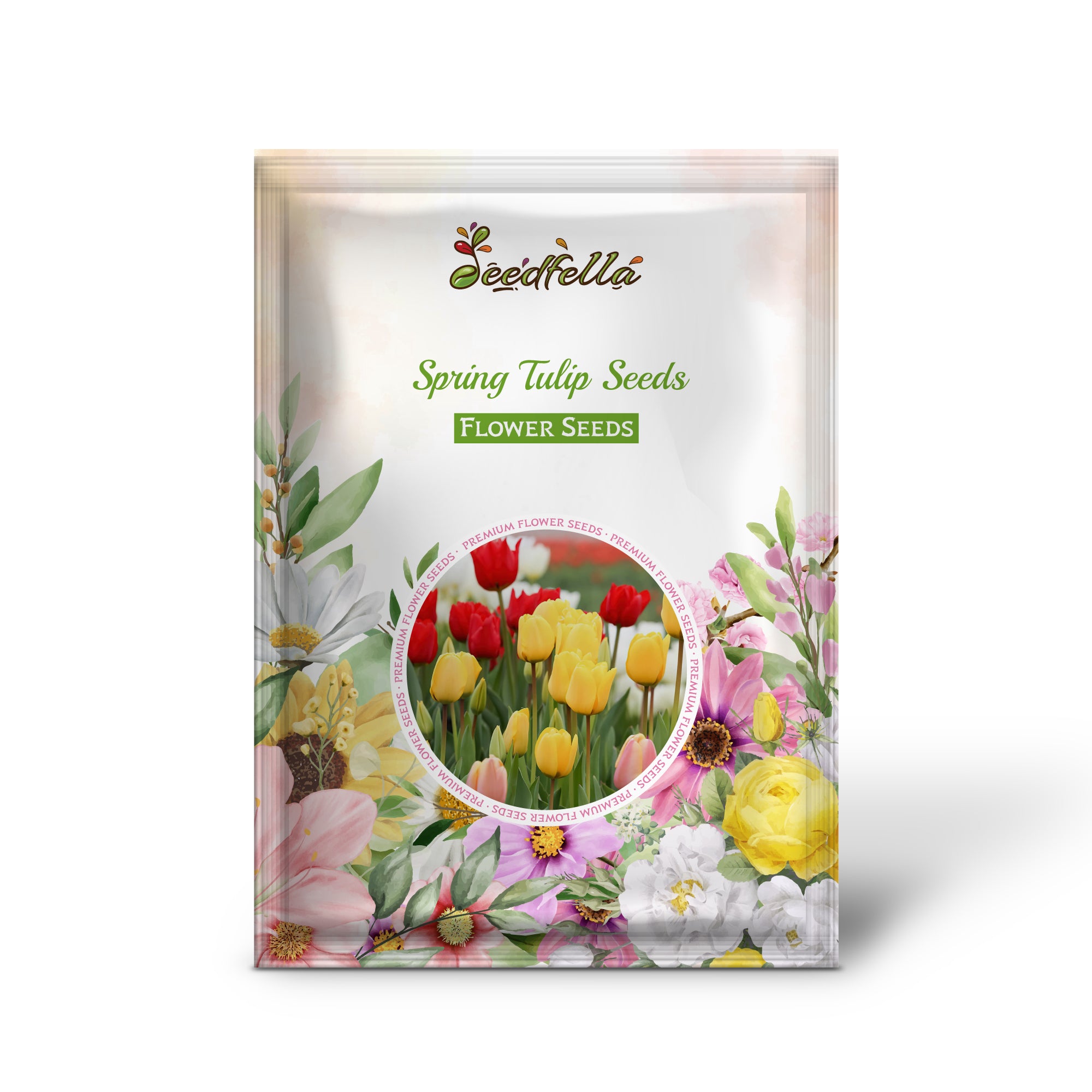 Assorted Tulip Varieties in Full Bloom