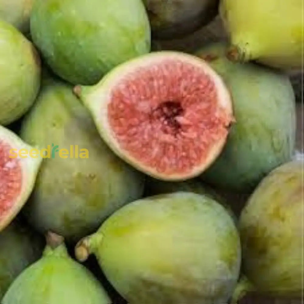 Mixed Vasilika Aspra Seeds for Planting Non-GMO