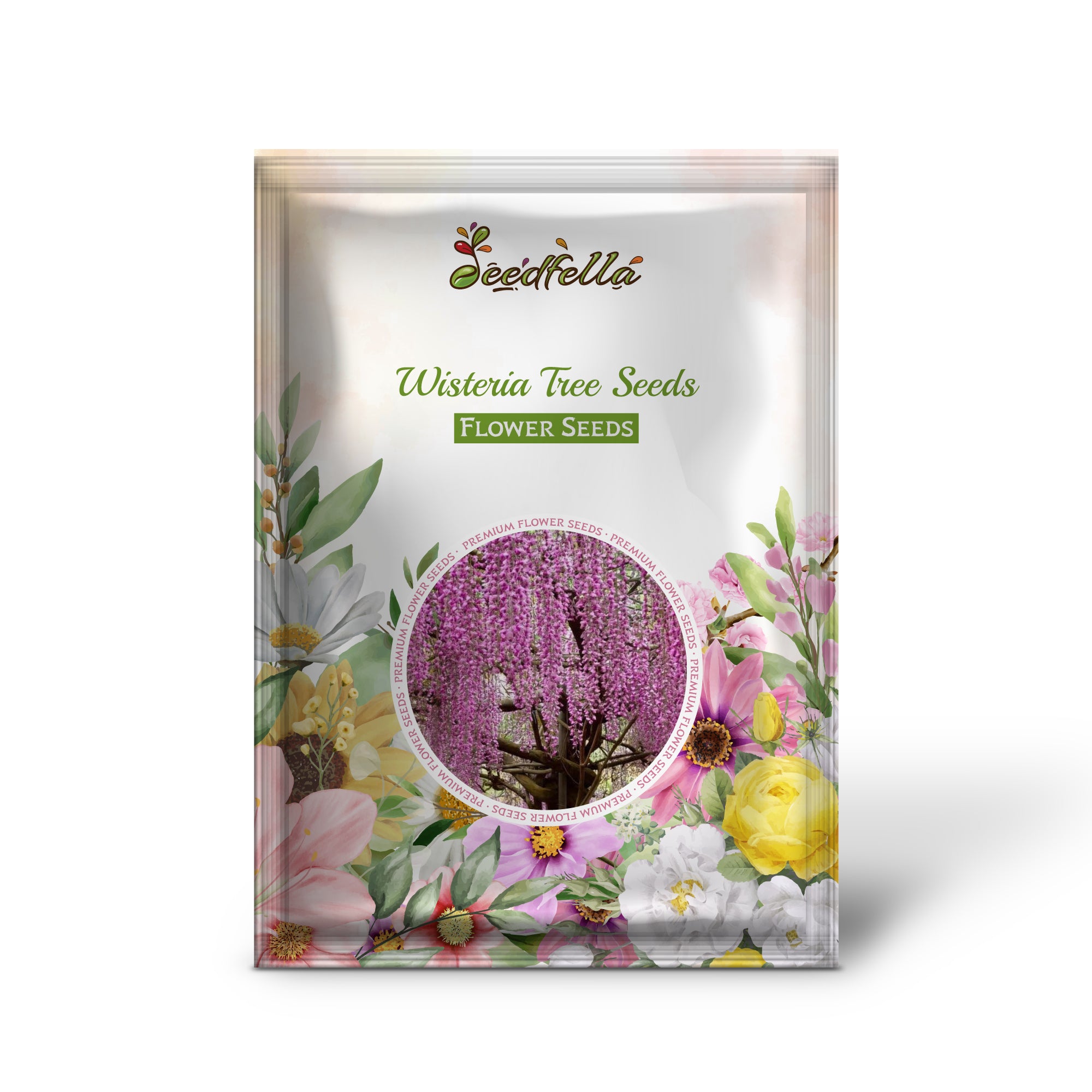 Mixed Wisteria Tree Seeds