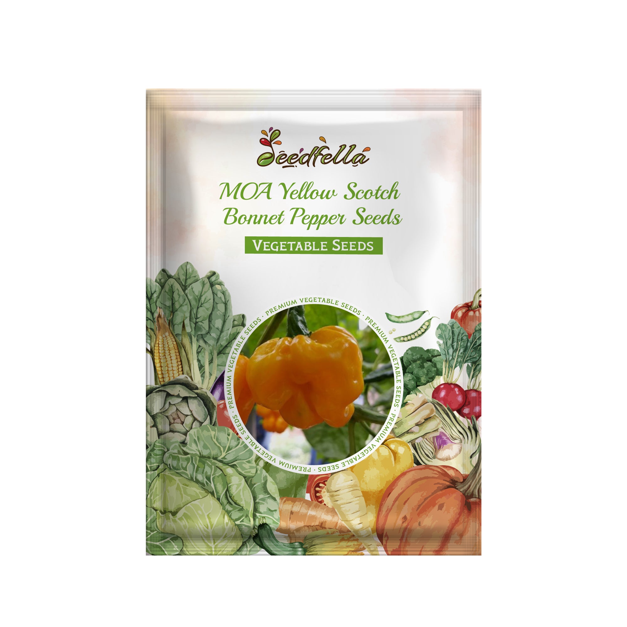 MOA Yellow Scotch Bonnet pepper seeds planting