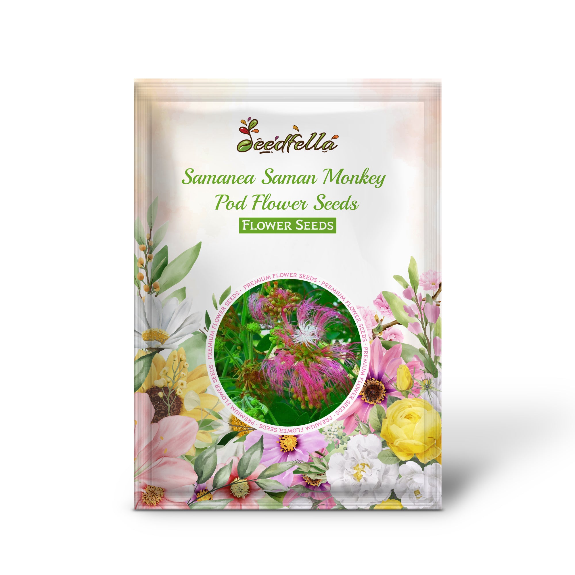 Full view of Samanea Saman Monkey Pod Tree with canopy