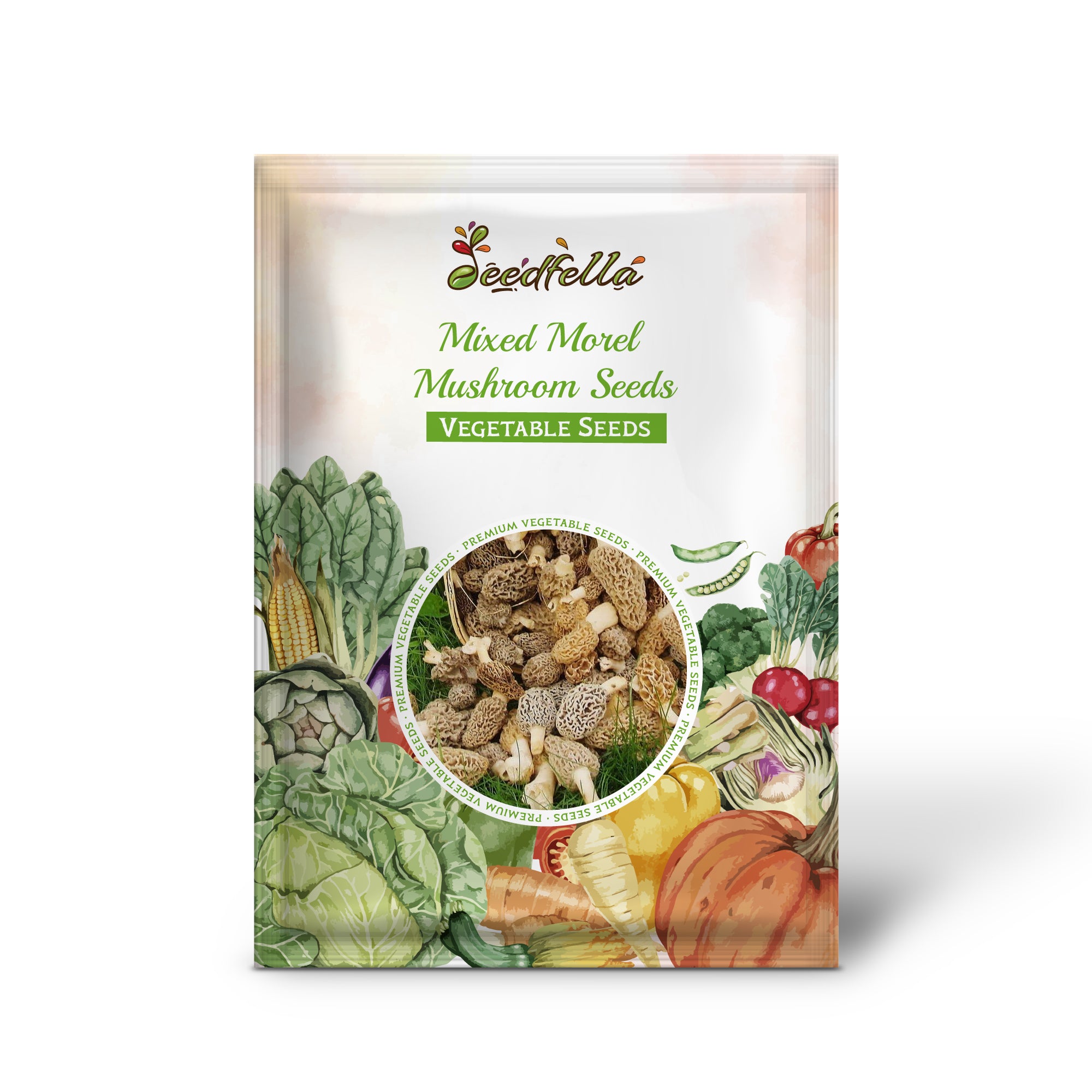 Morel mushrooms growing in shaded garden