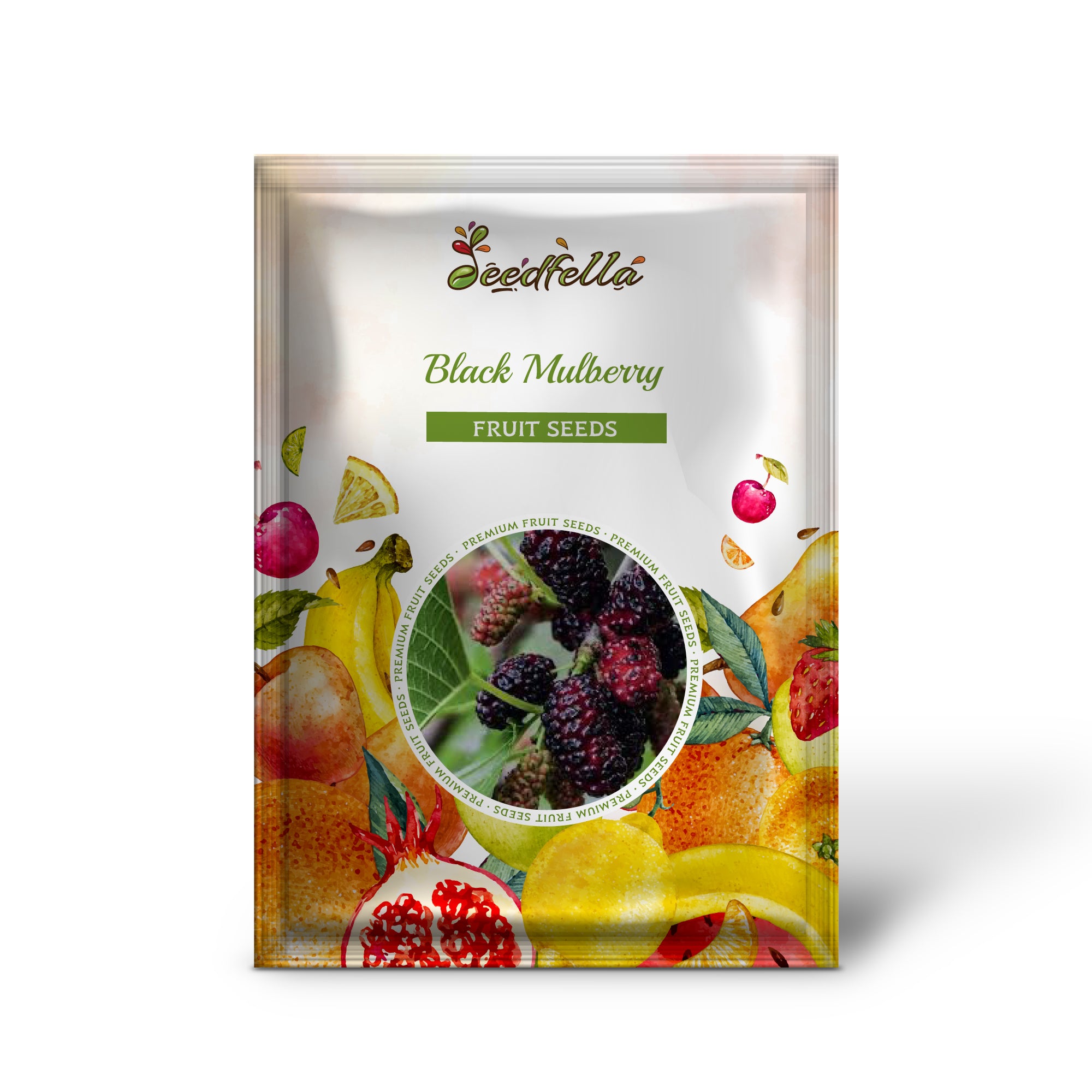 Morus nigra black mulberry seeds producing dark purple-black berries