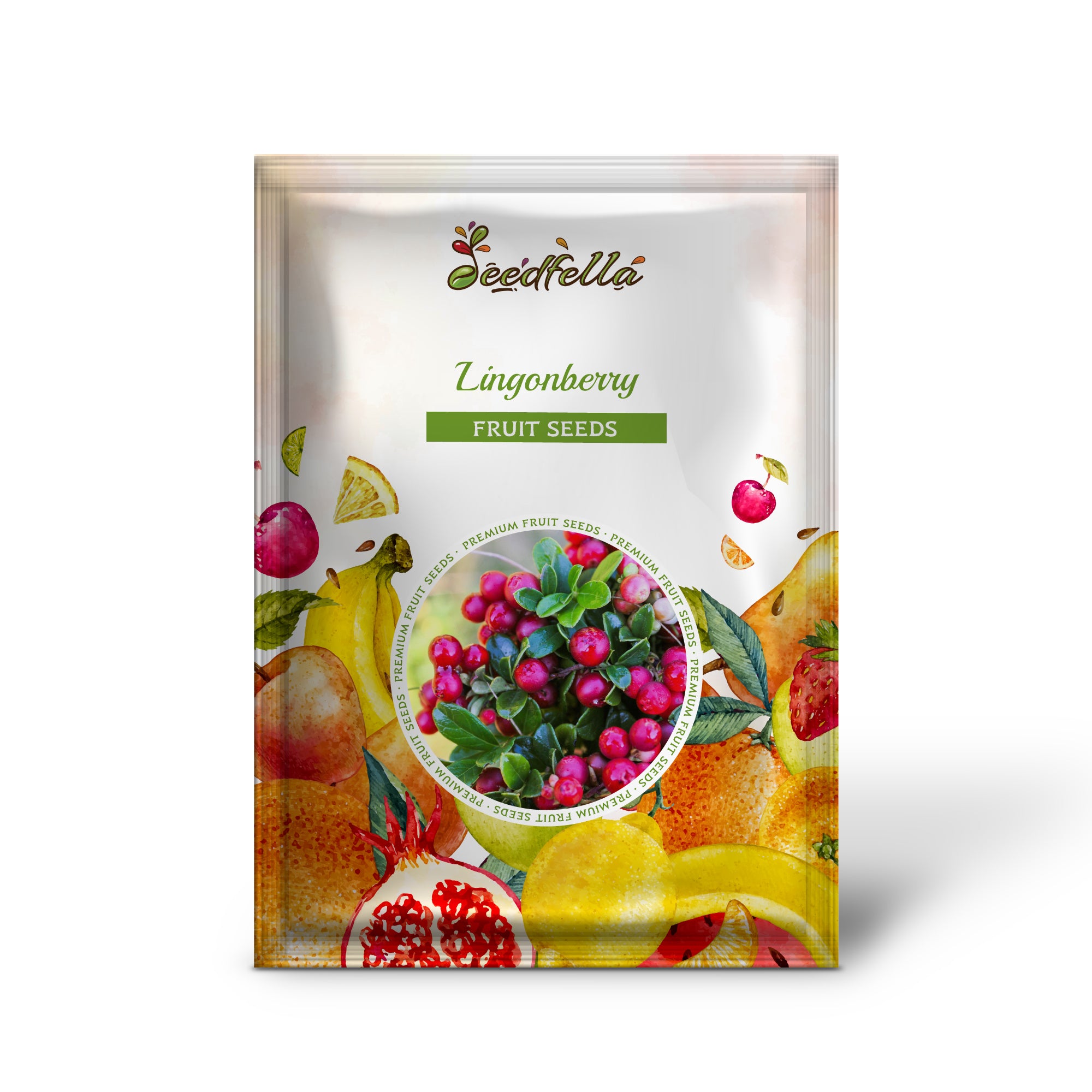 Mountain cranberry shrub with red berries