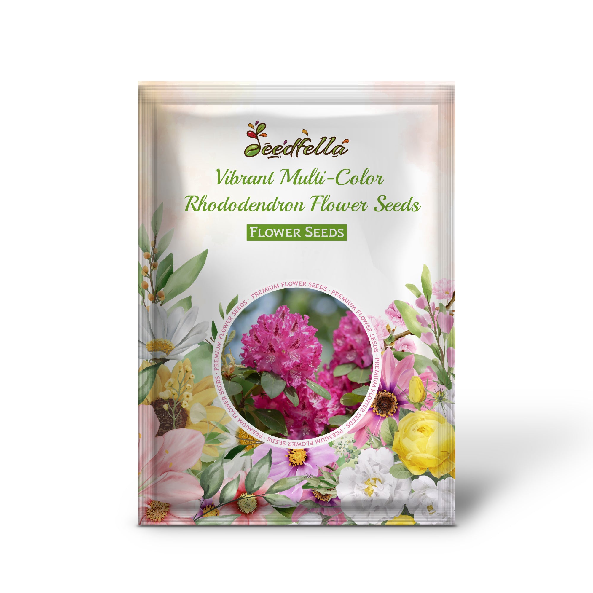 Vibrant Multi-Color Rhododendron Flowers in Garden