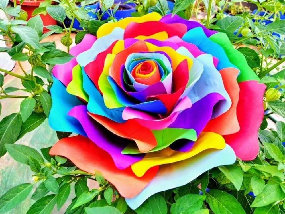 Multi-Color Rose Seeds for Planting Vibrant Garden Roses