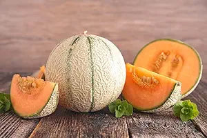 Musk Melon Cucumis melo seeds for planting