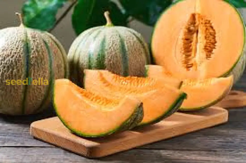 Musk Melon Seeds For Planting Sweet Fruits Fruit