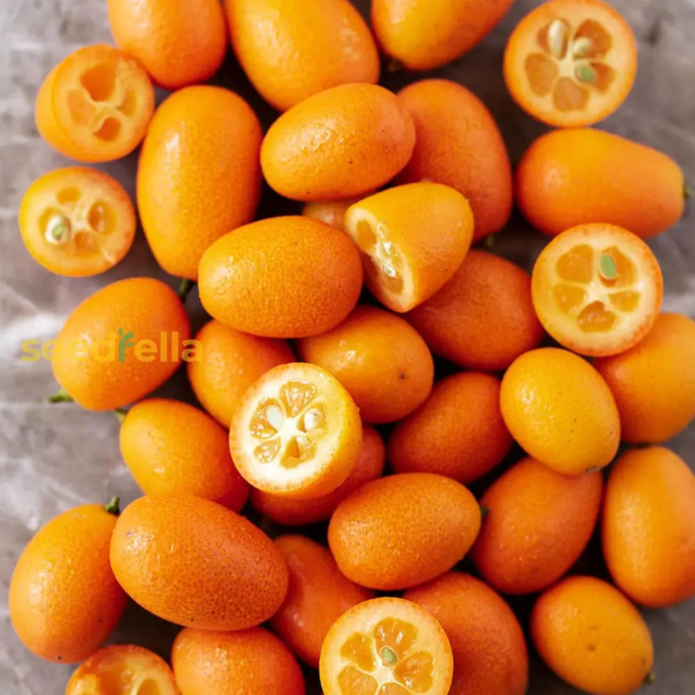 Nagami Kumquat Seeds Citrus Japonica Thin Sweet-Tart Rind And Tart Juicy Pulp Fragrant Flowers