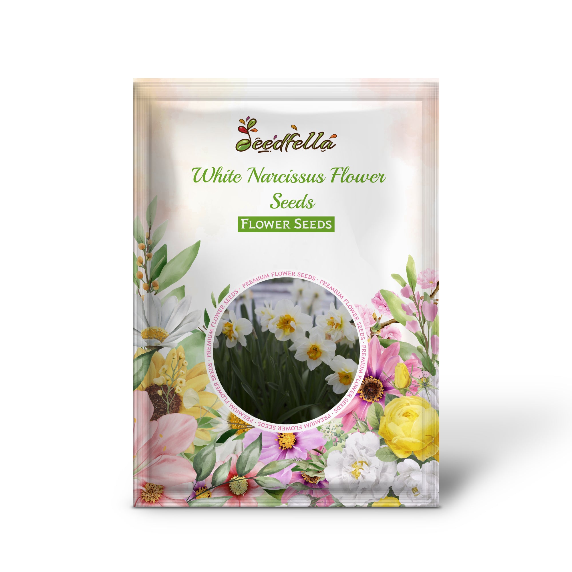 Elegant White Narcissus Flowers in Garden