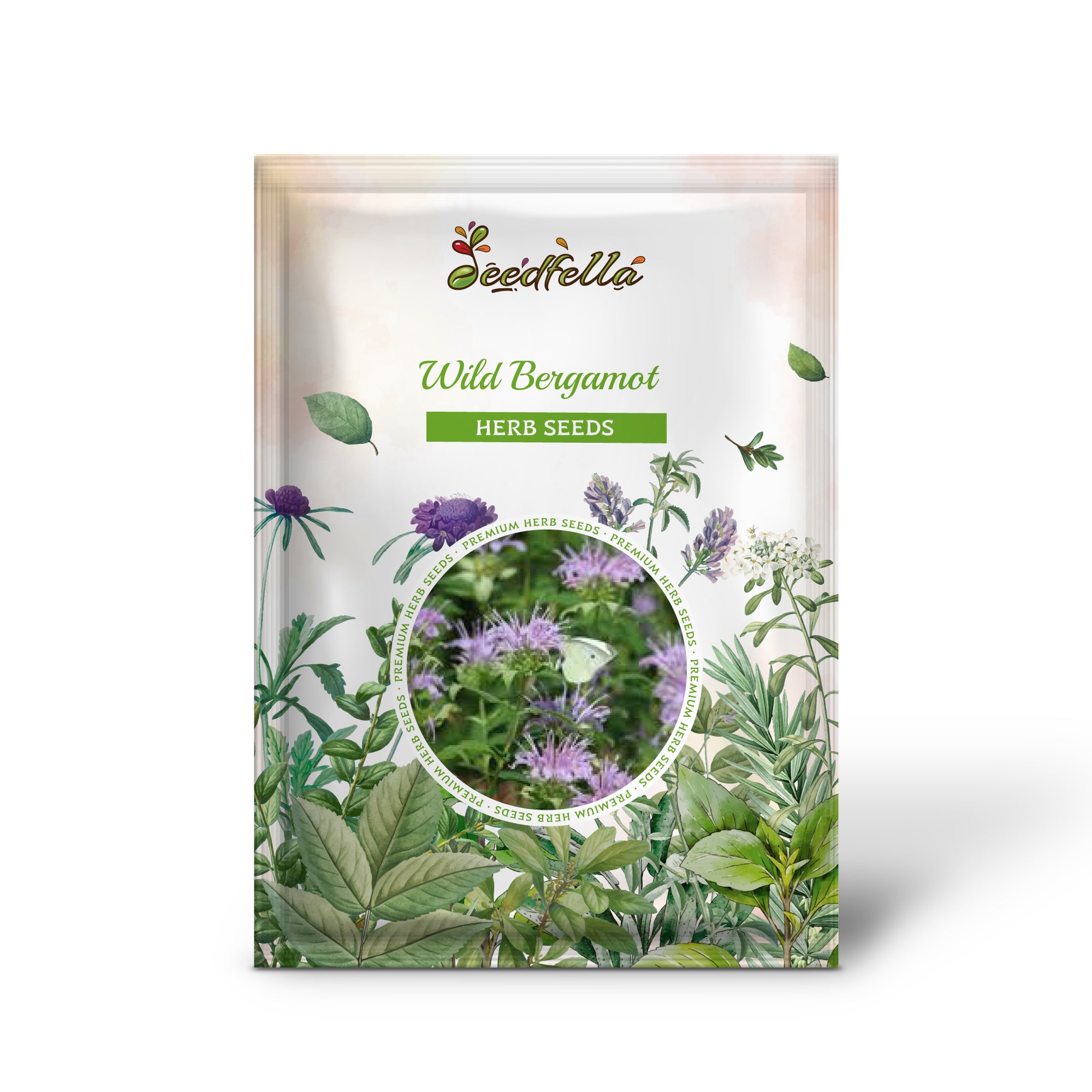 Wild Bergamot Used in Native Pollinator Garden Landscaping