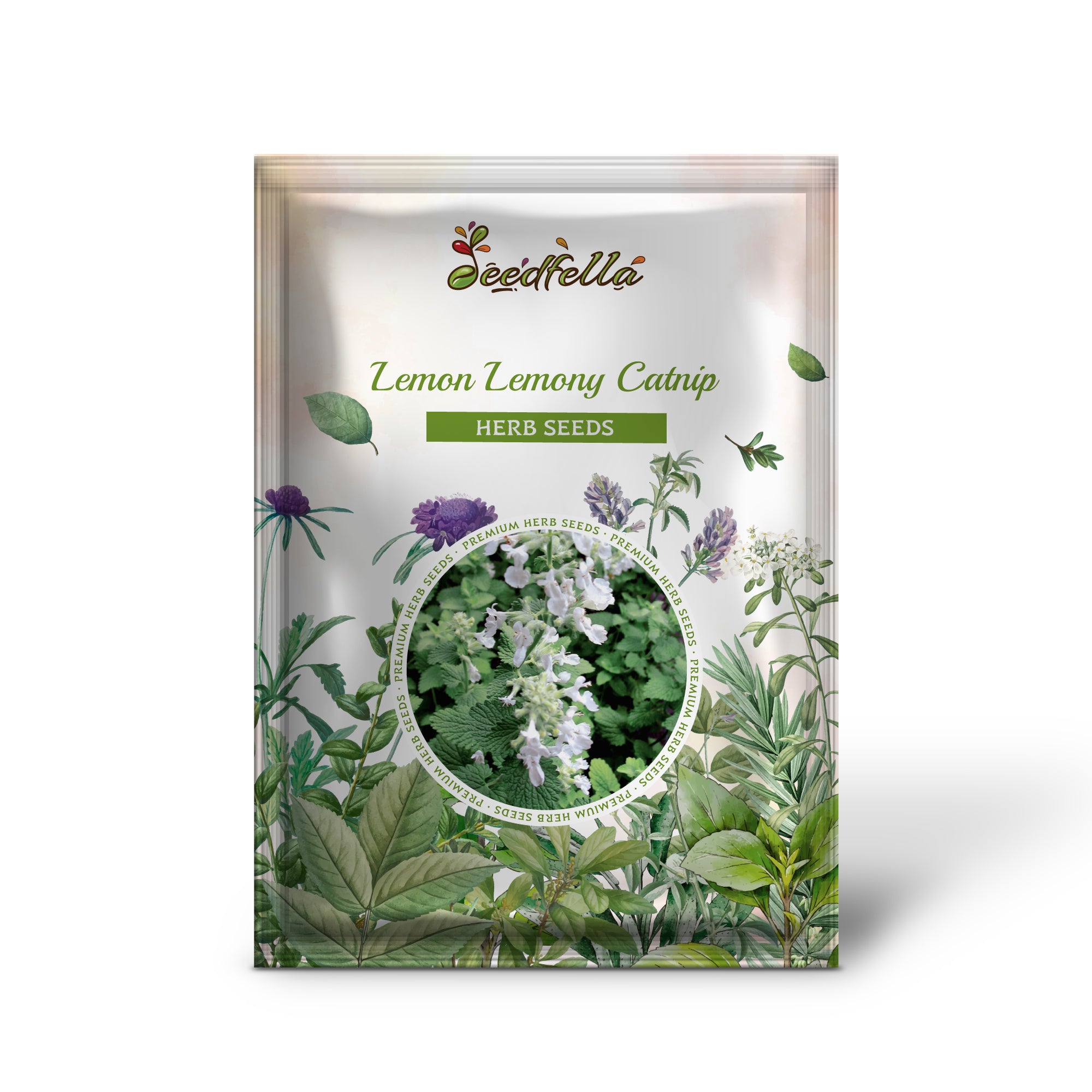 Close-up of non-GMO Lemon Catnip seeds