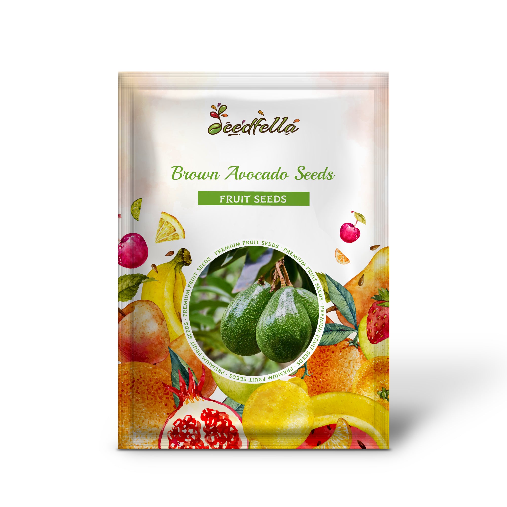 Non-GMO Avocado Seeds for Growing Healthy Trees