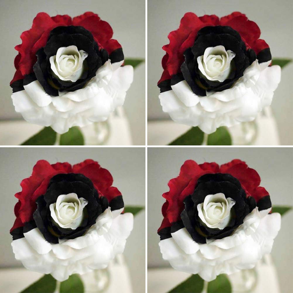 Non-GMO Black Rose Seeds for decorative planting