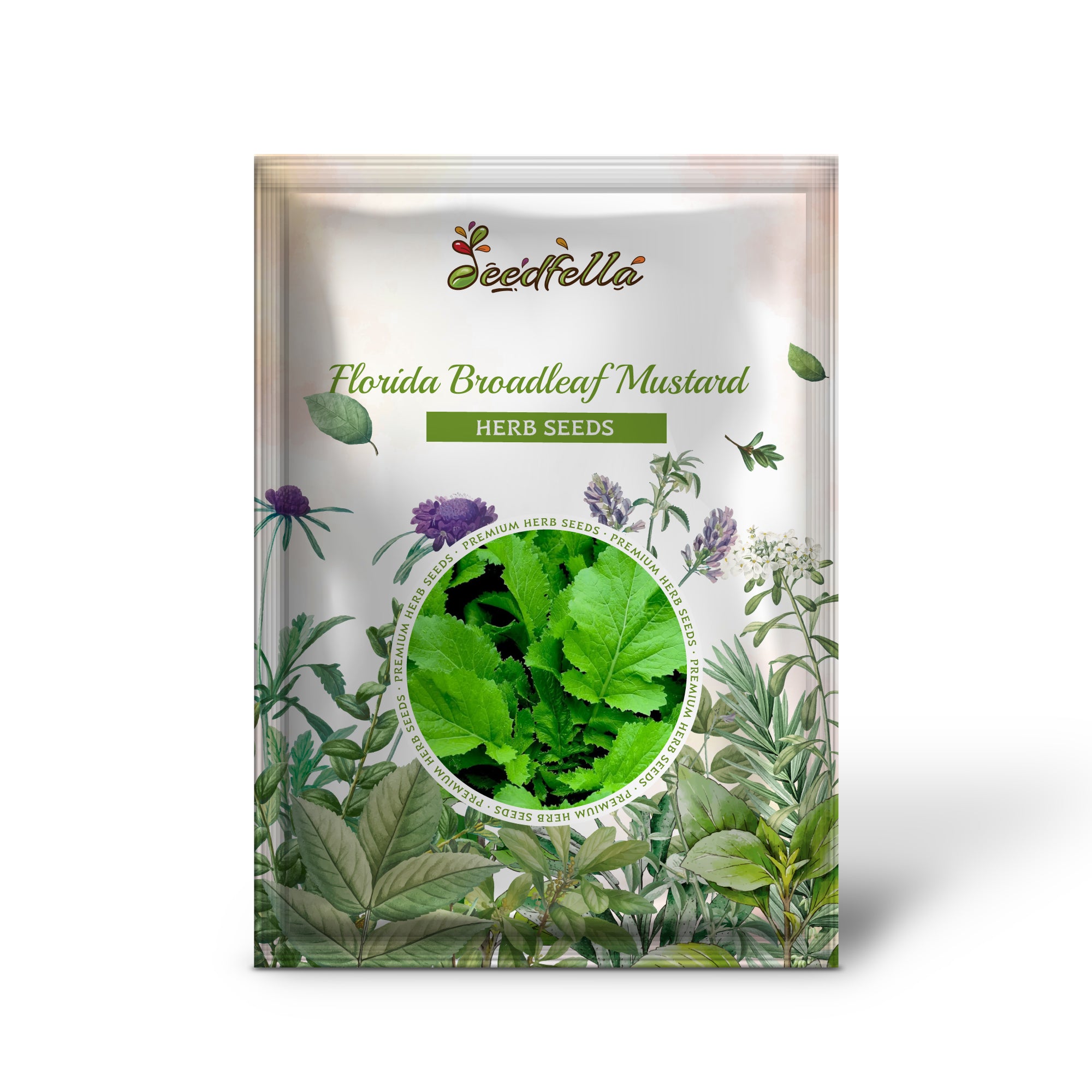 Non GMO Florida Broadleaf Mustard seedlings emerging from soil