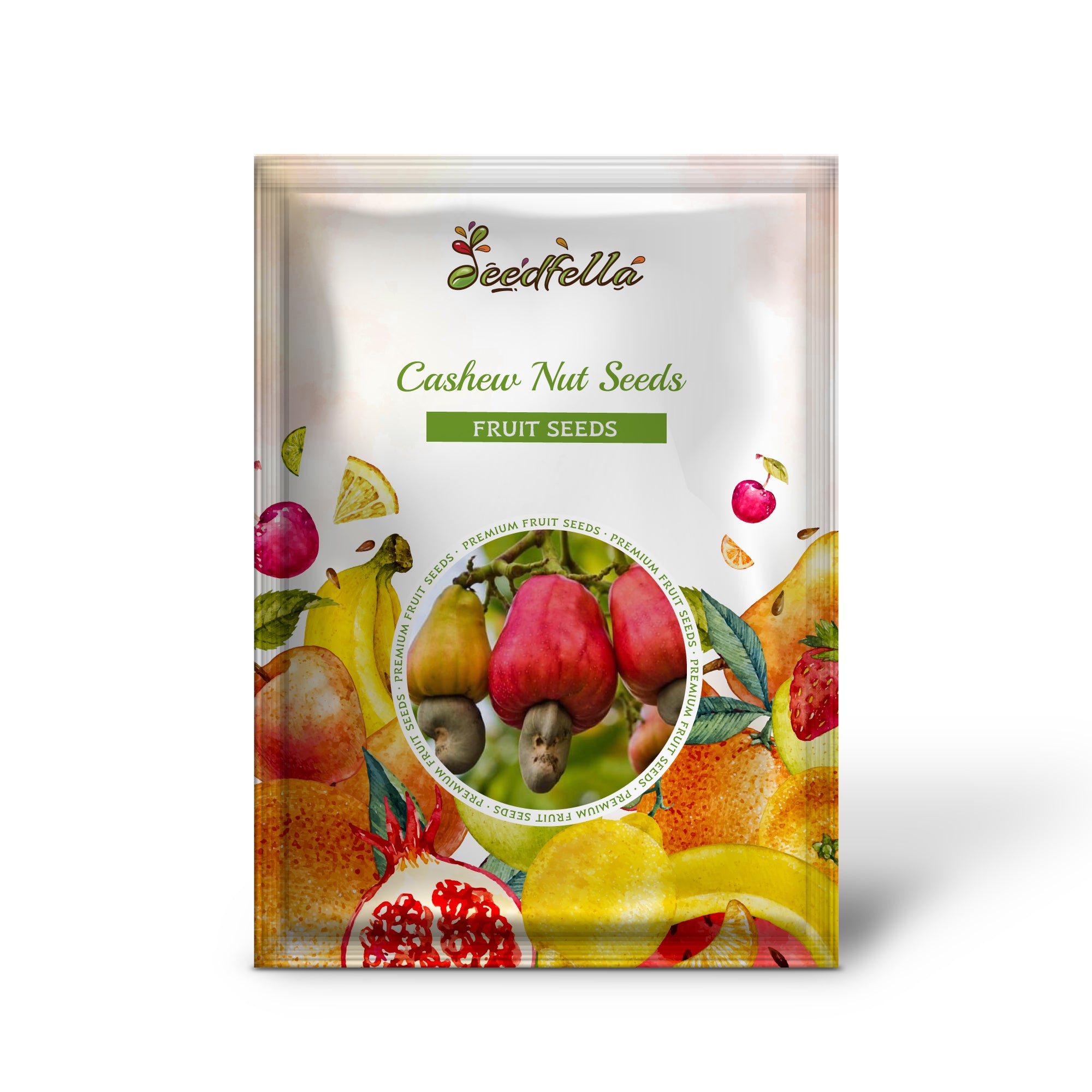 Non-GMO cashew tree seeds for tropical gardens