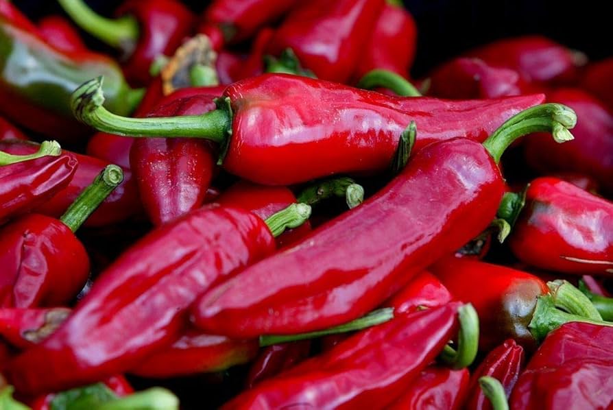 Non-GMO Chimayo pepper seeds for home gardens