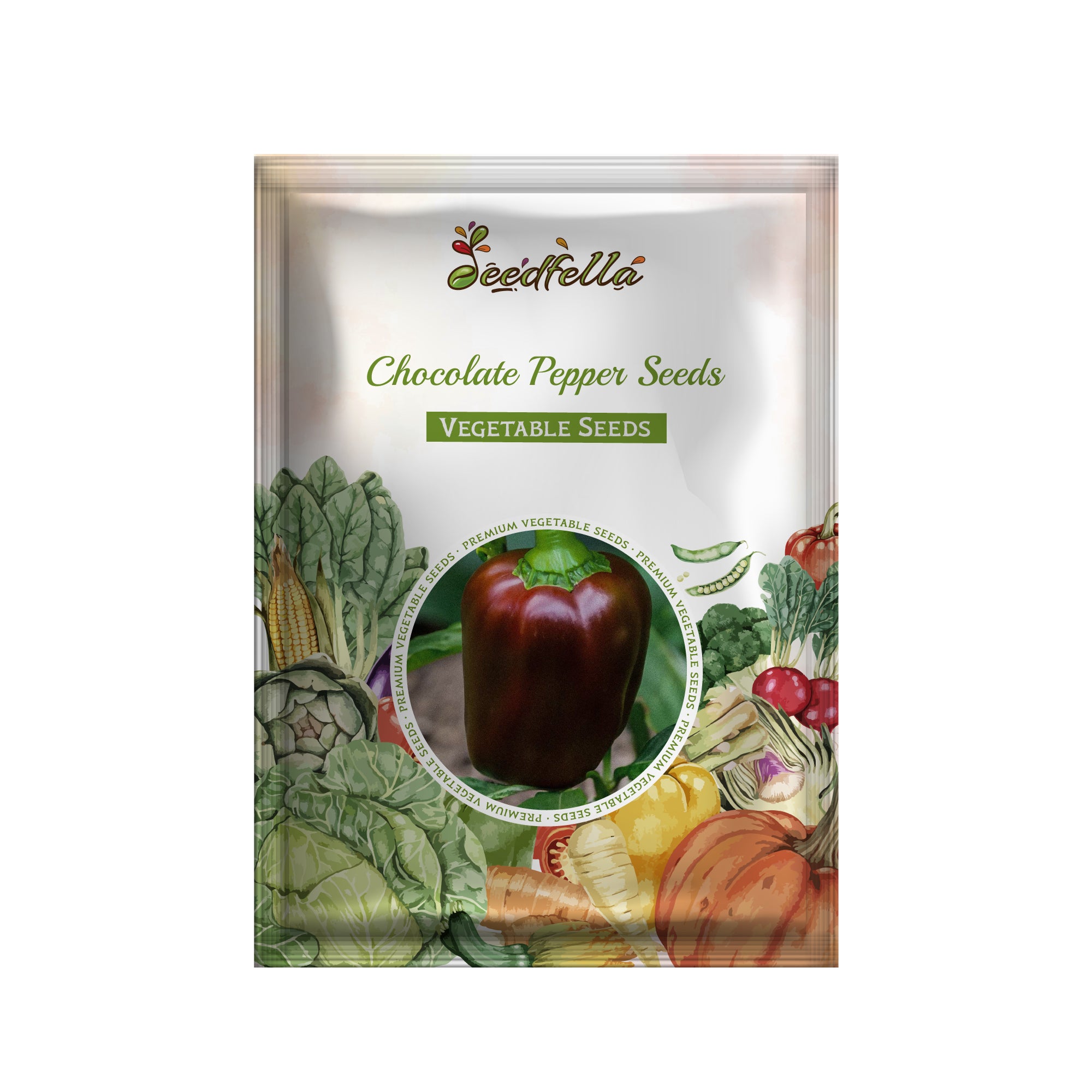 Non GMO chocolate pepper seeds with high germination