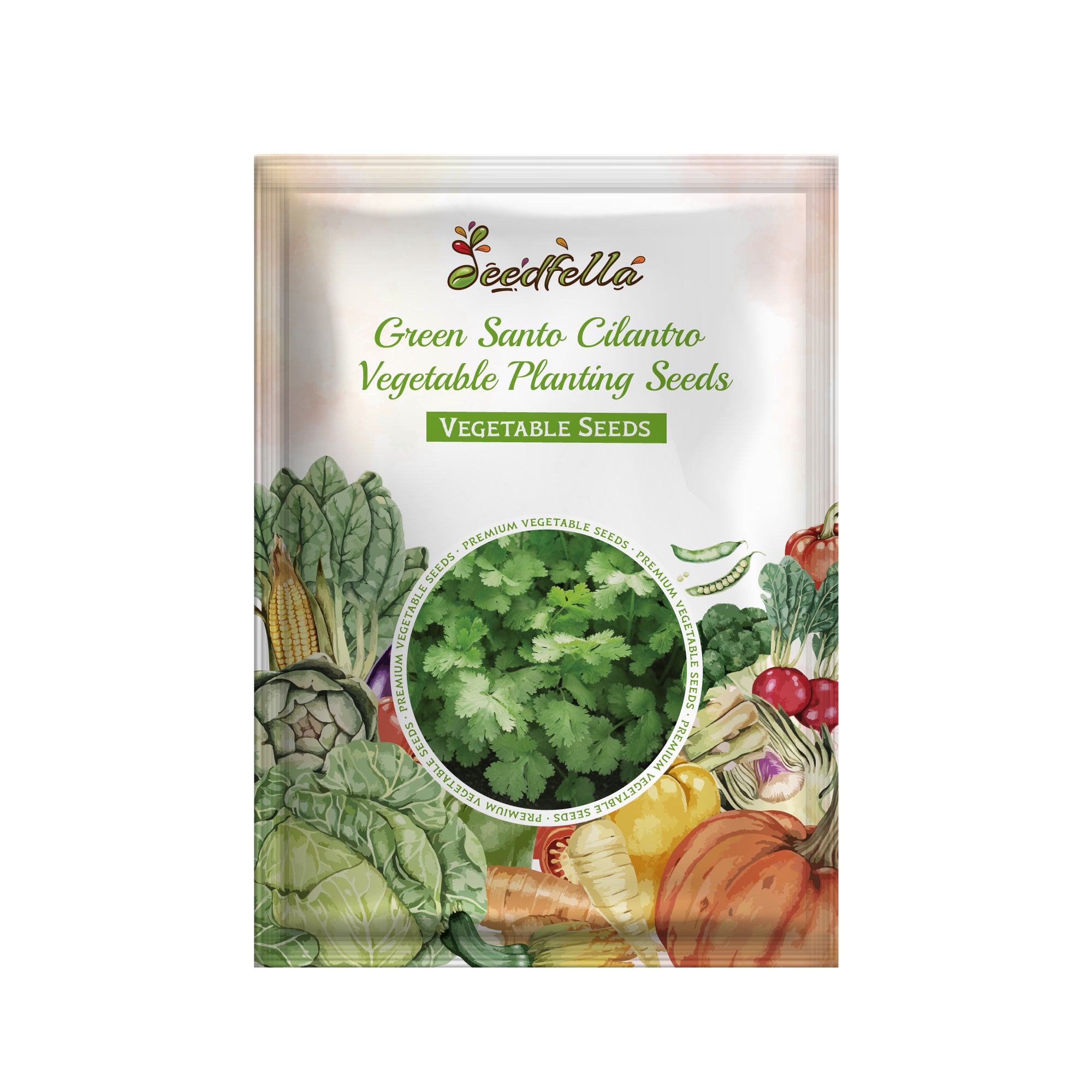 Non GMO cilantro leaf herb seeds