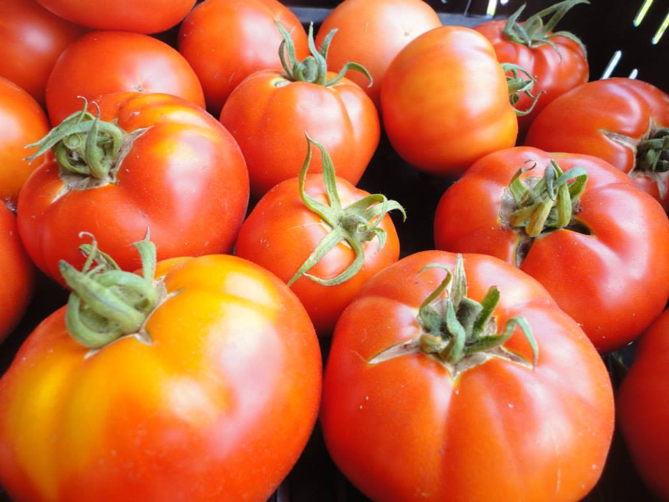 Non GMO Cosmonaut Volkov tomato seeds