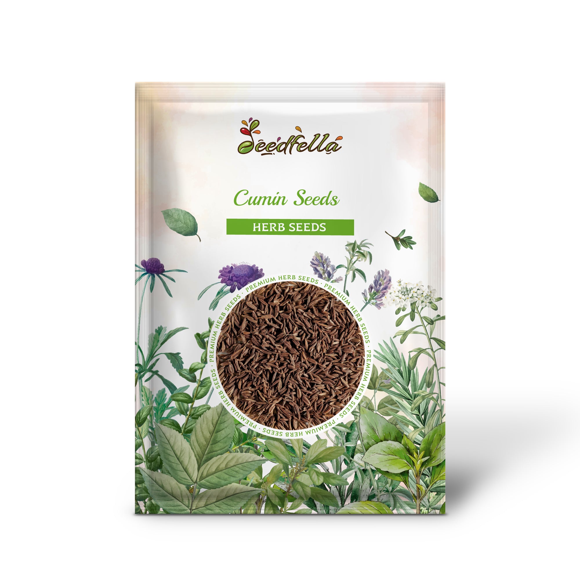 Non-GMO Cumin seeds warm-season variety for outdoor planting