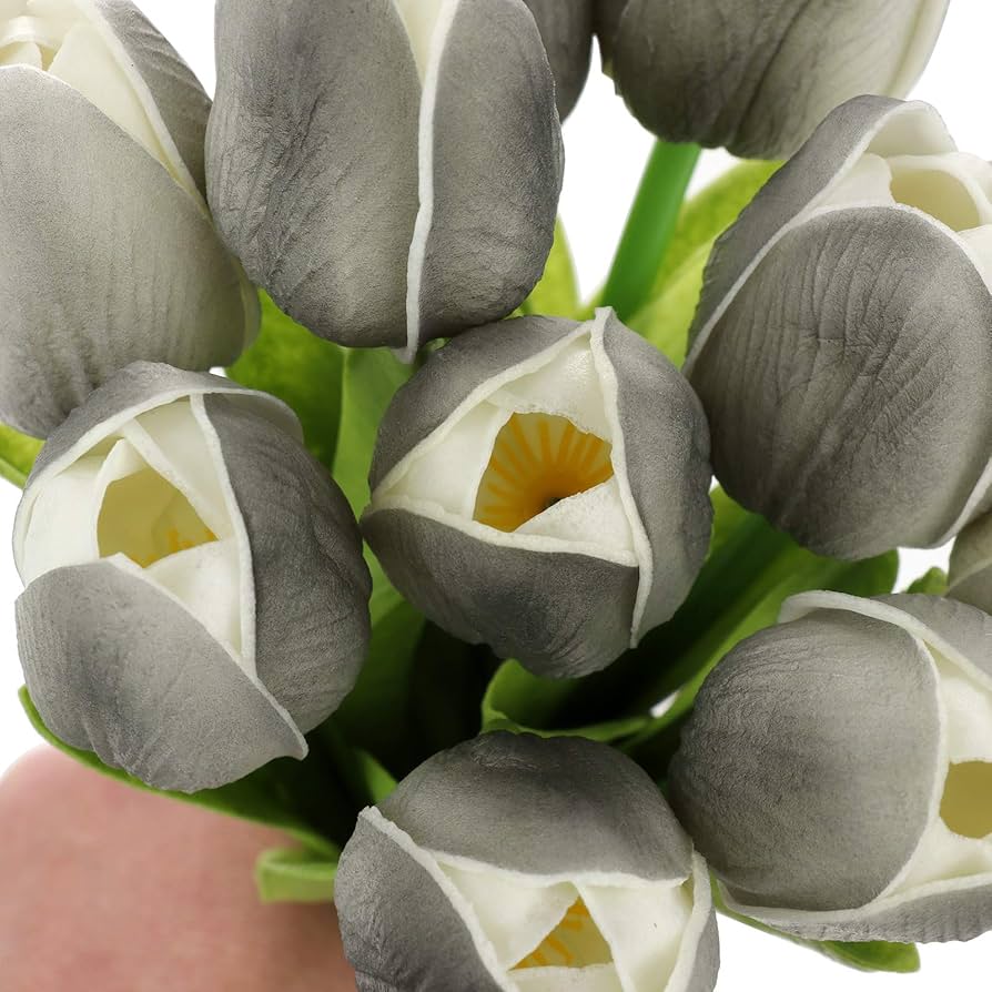 Non-GMO Dark Gray Tulip Seeds for Gardening