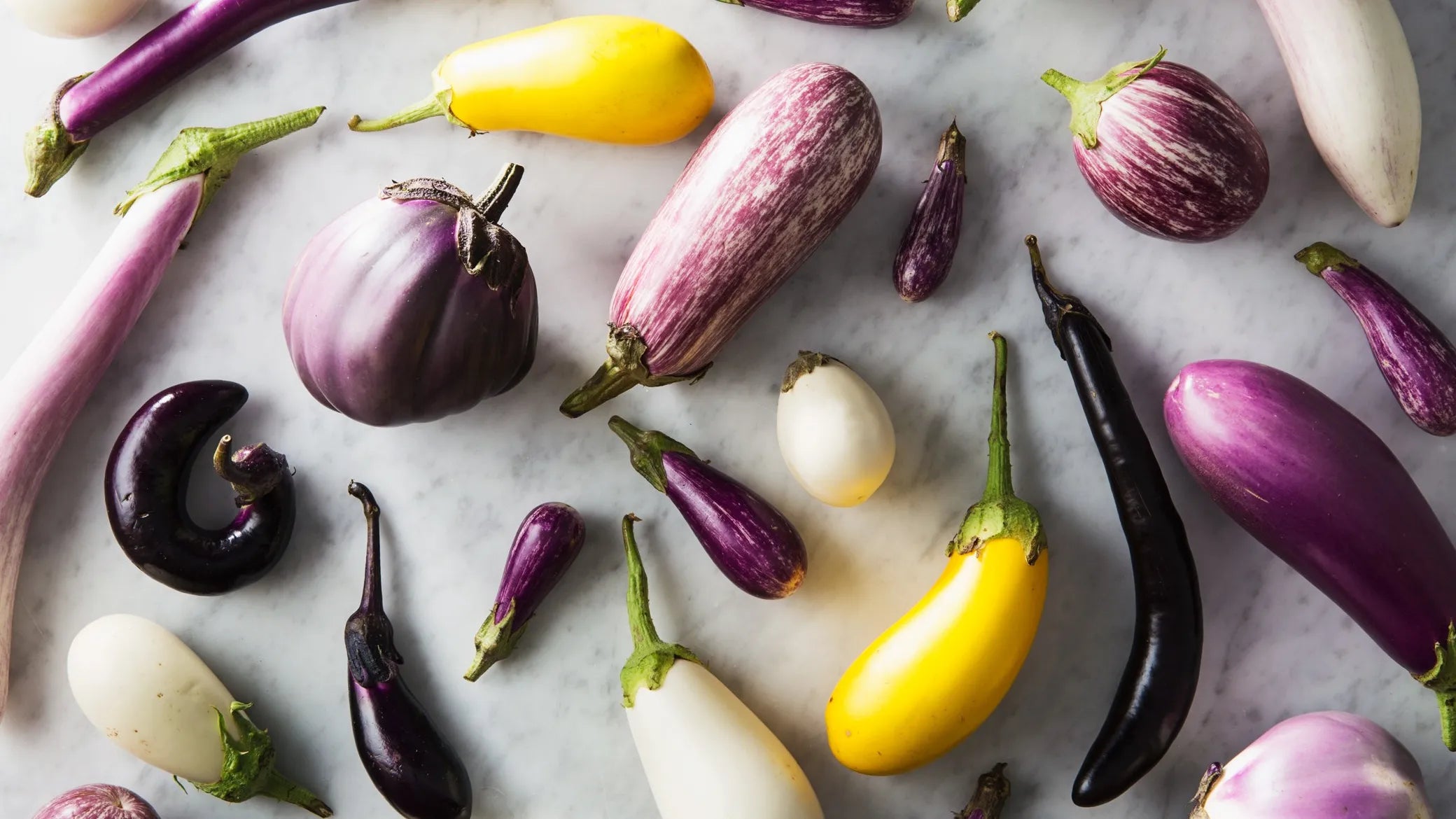 Non-GMO Eggplant Sweet Fruit Seeds for Planting