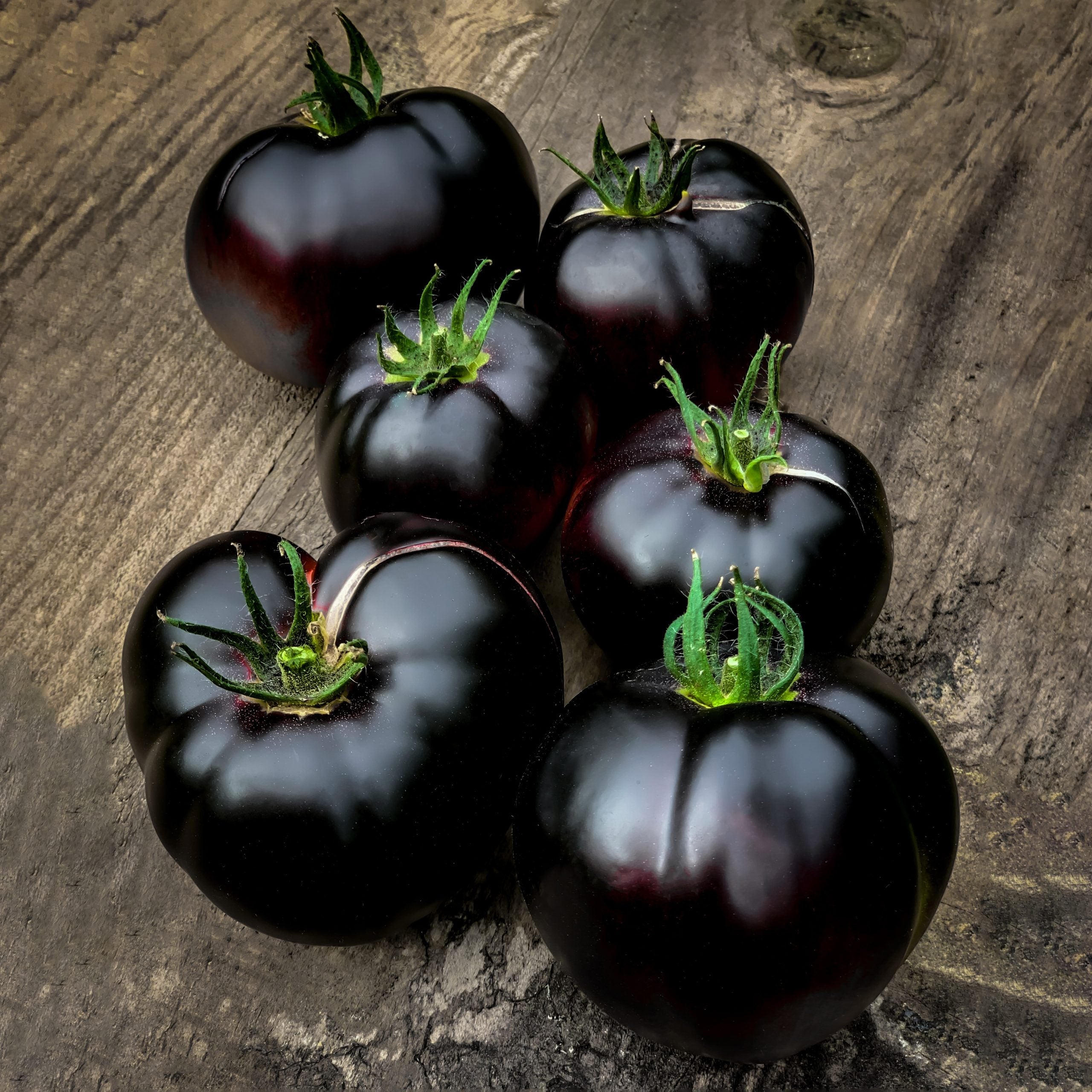 Non GMO exotic black tomato seeds for gardeners