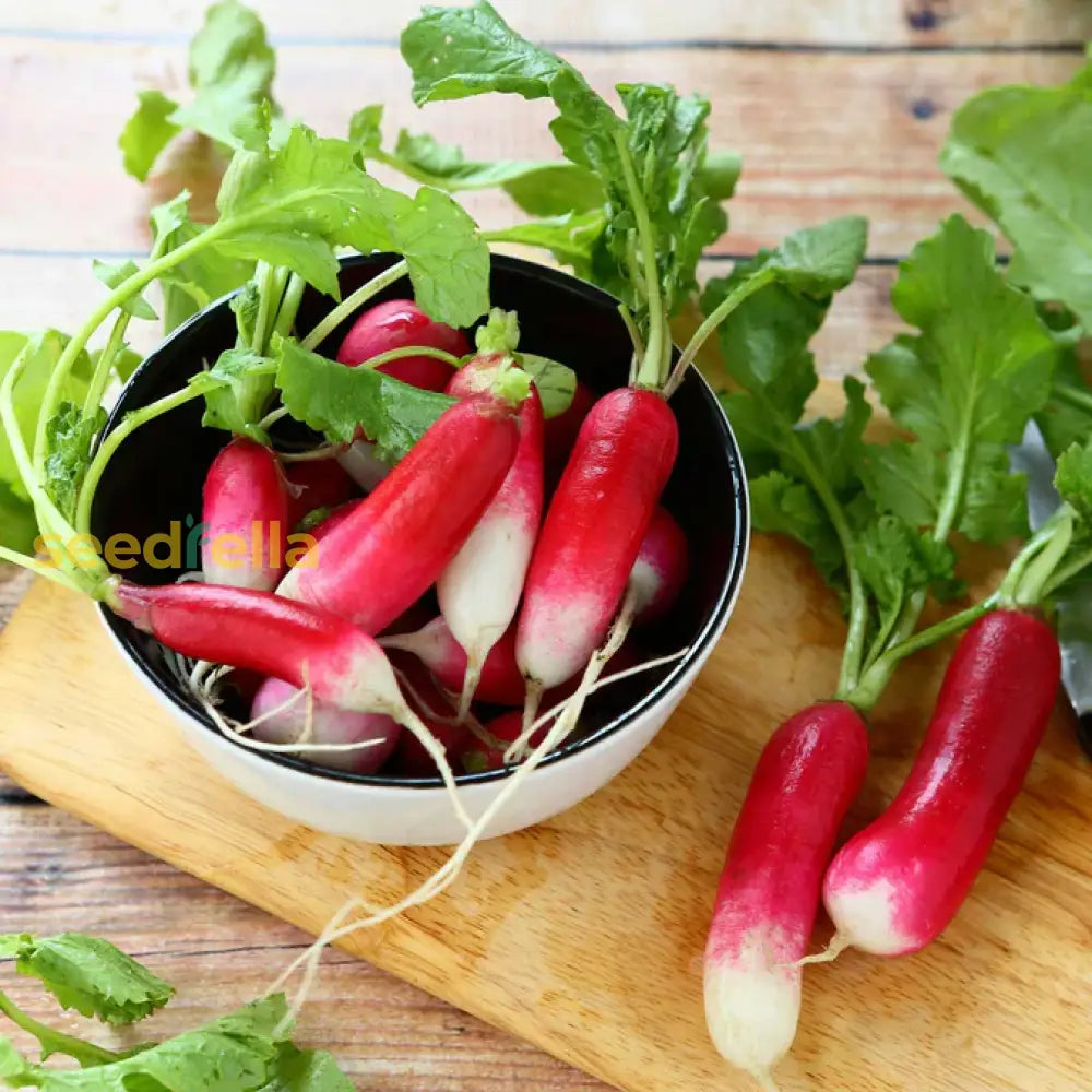 Non GMO Fast Growing Radish Seeds