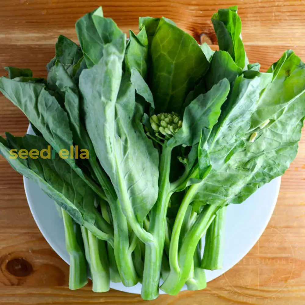 Non GMO Gailan seeds
