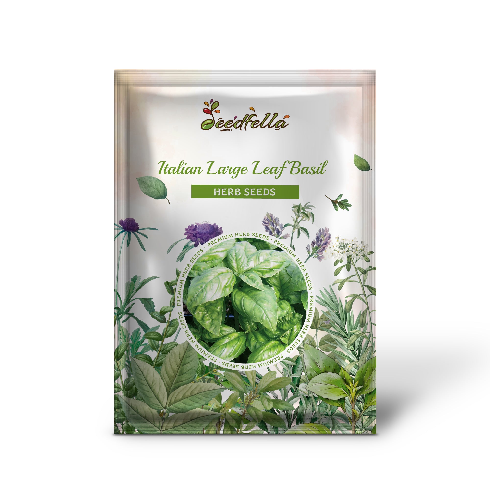 Non GMO Italian Large Leaf Basil seedlings emerging from soil