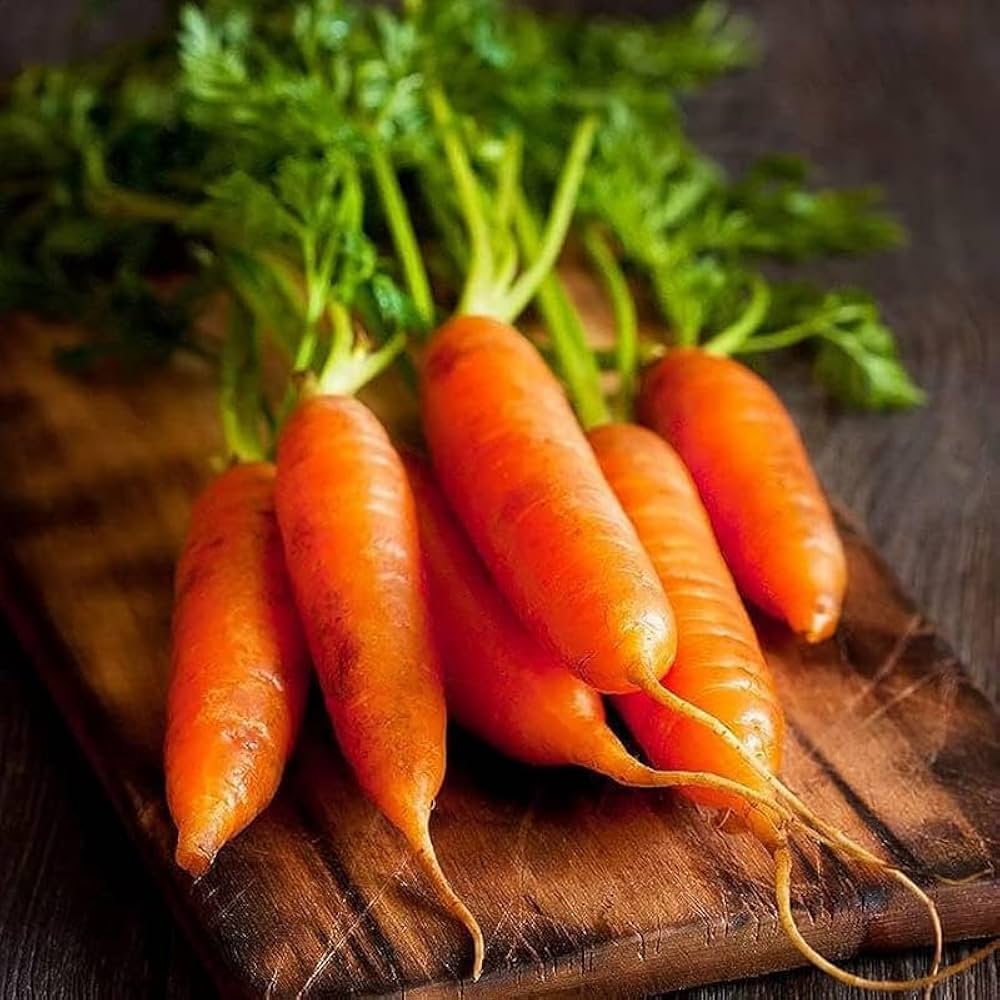 Non GMO Little Finger carrot seeds