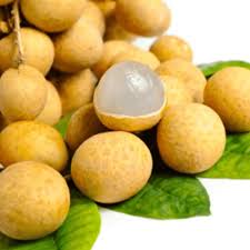Non-GMO Longan seeds for easy tropical fruit planting