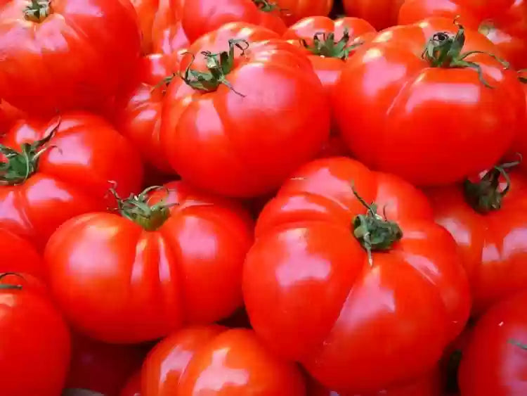 Non-GMO Mixed Giant Tomato Seeds for Home Gardening