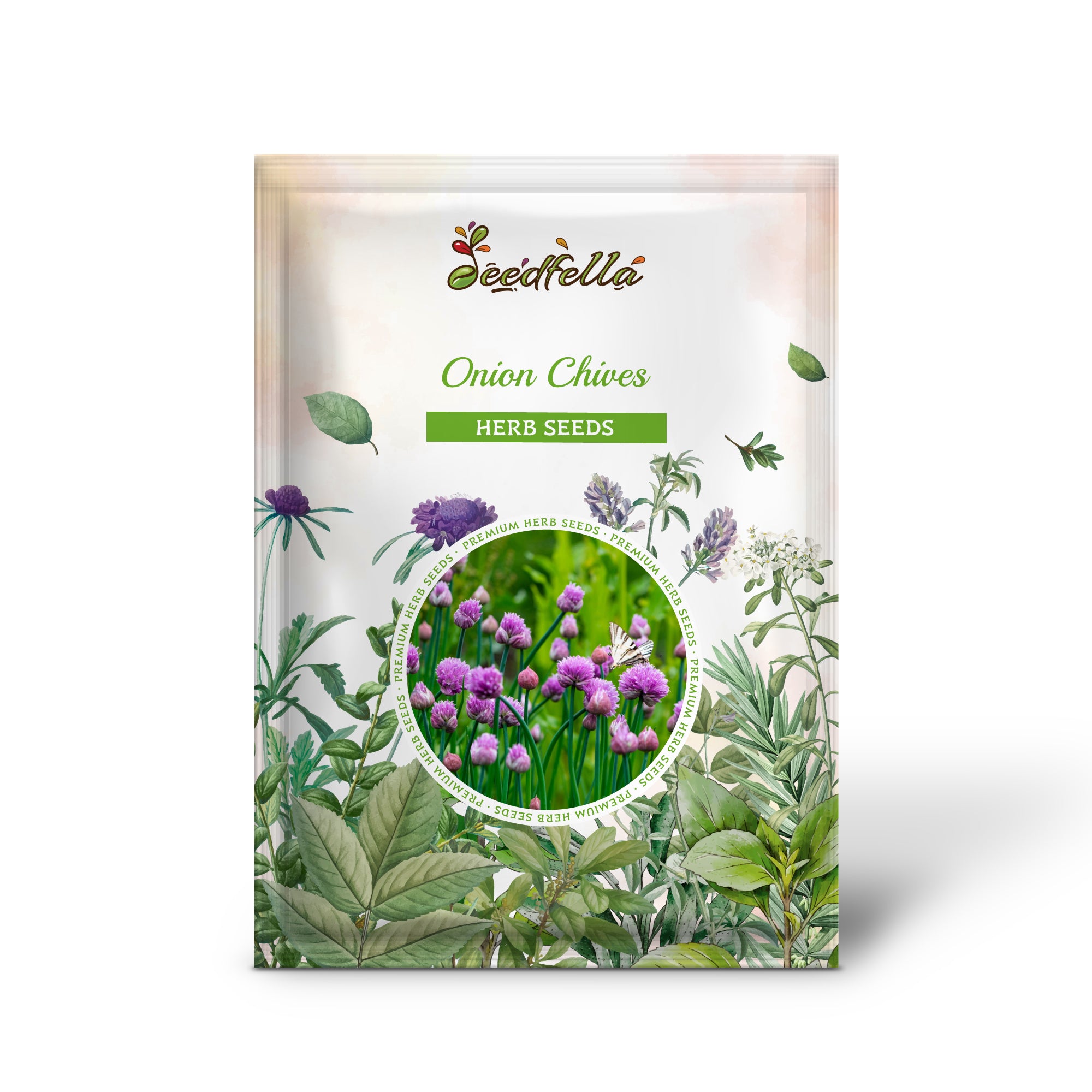 Non-GMO Onion Chive seeds thin hollow leaves container gardening