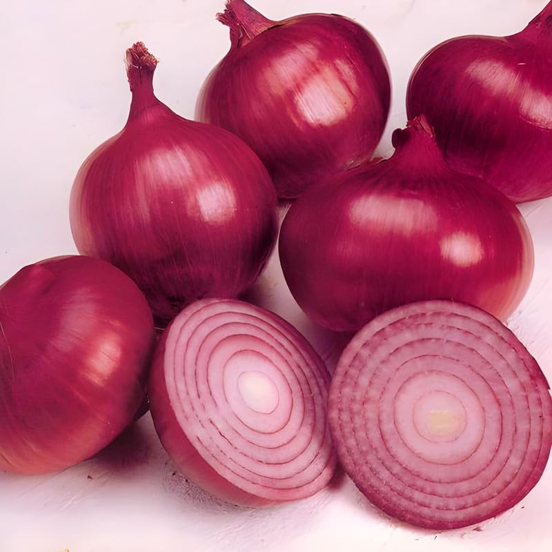 Non-GMO Onion seeds for backyard planting
