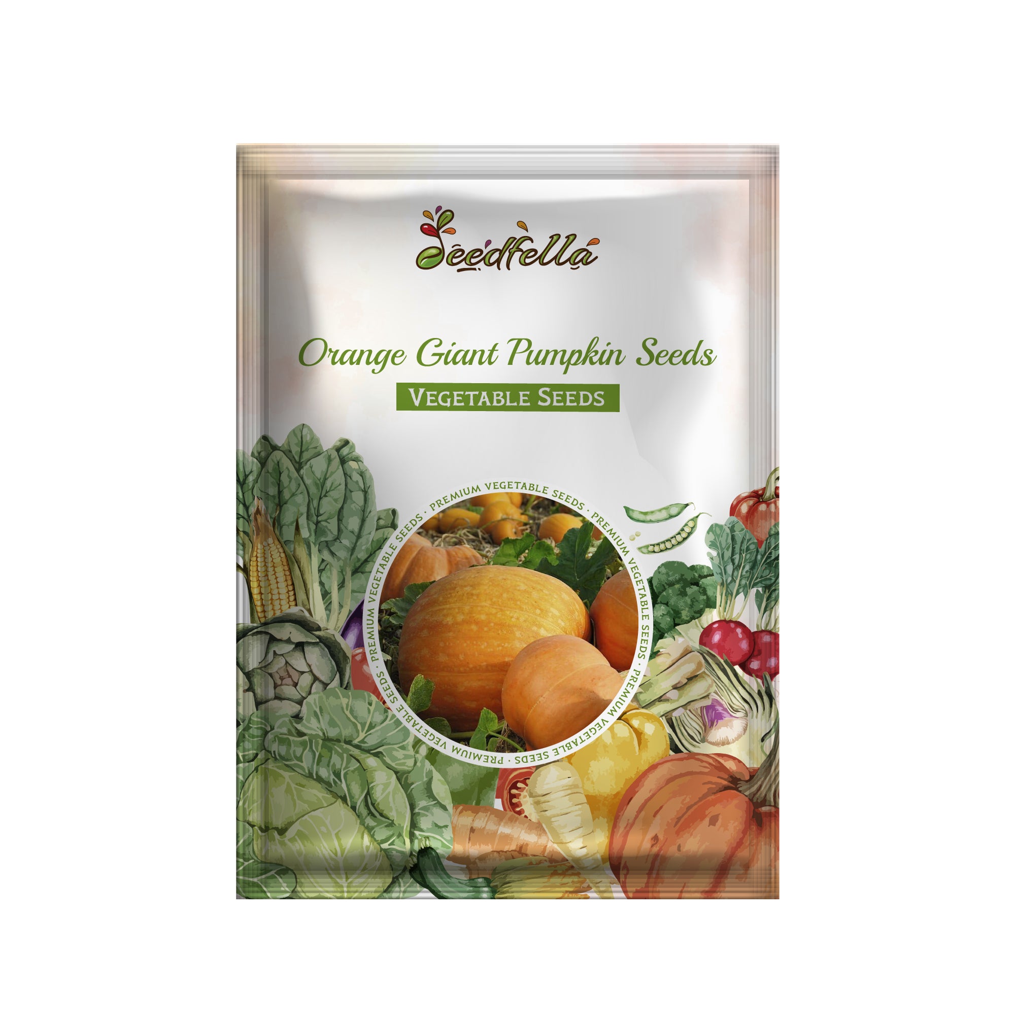 Non GMO orange giant pumpkin seeds for large pumpkins