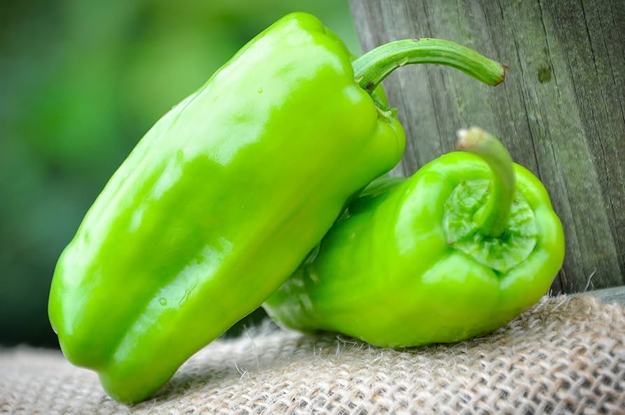 Non-GMO Italian Pepperoncini seeds