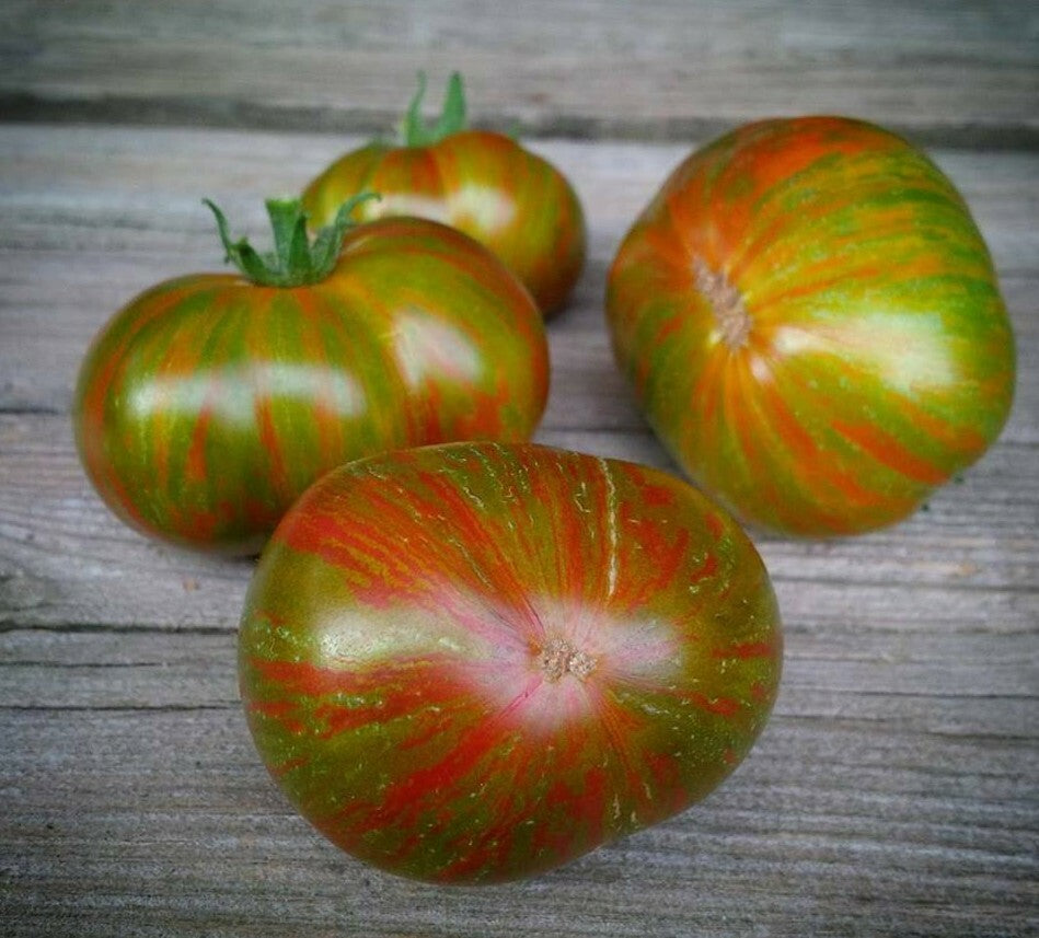 High germination Pink Berkeley seeds for gardening