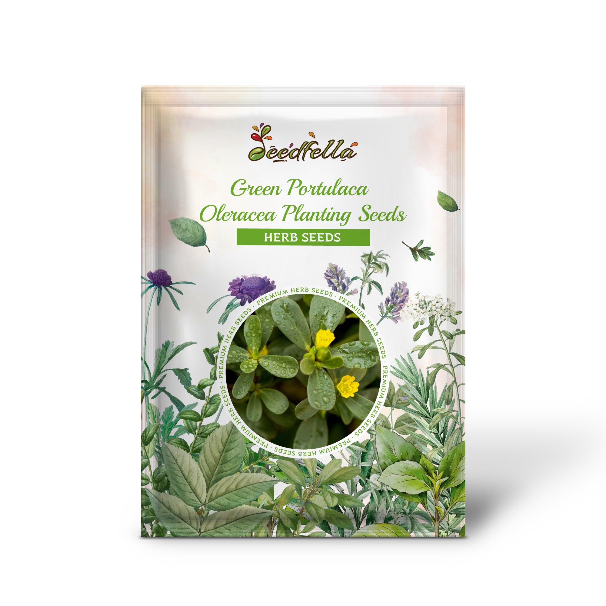 Non-GMO Green Portulaca Oleracea (Purslane) seeds for culinary use
